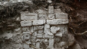 Hallazgo en zona arqueológica de