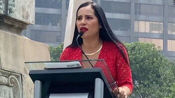 La diputada Silvia Sánchez aseguró