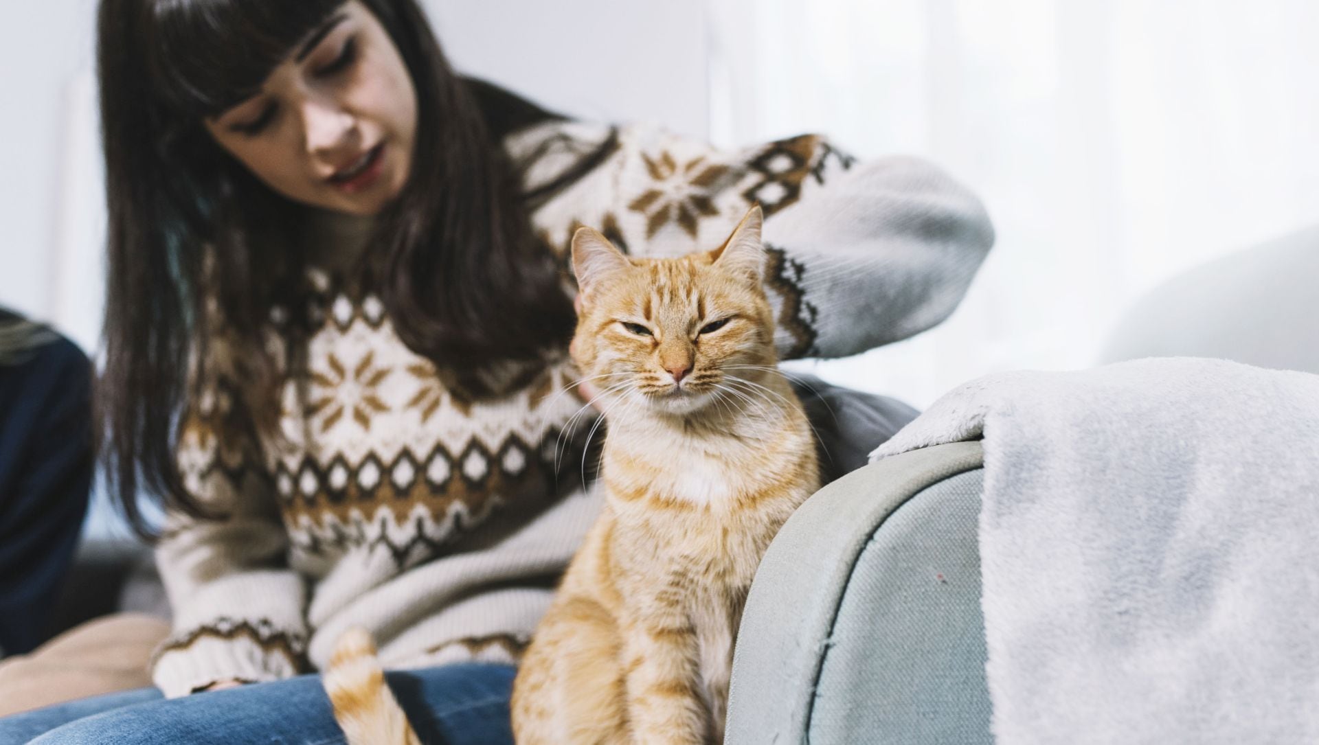 El mayor mapa genético del cáncer en gatos domésticos revela mutaciones compartidas con humanos, facilitando nuevas vías para terapias conjuntas (Freepik)