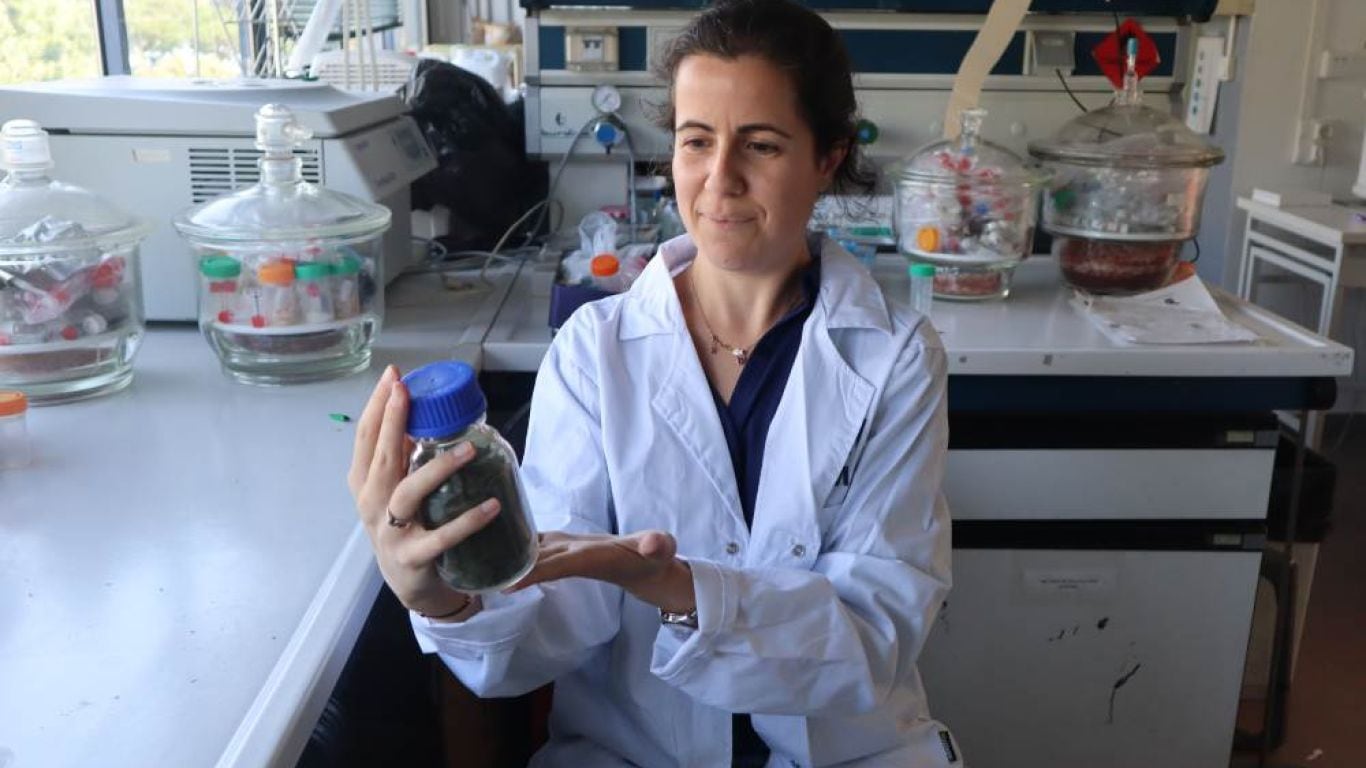 La doctora Valeria Blanco recibió la Beca Leonardo de la Fundación BBVA para desarrollar materiales energéticos y médicos a partir de microalgas diatomeas