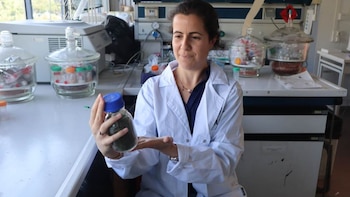 La doctora Valeria Blanco recibió la Beca Leonardo de la Fundación BBVA para desarrollar materiales energéticos y médicos a partir de microalgas diatomeas