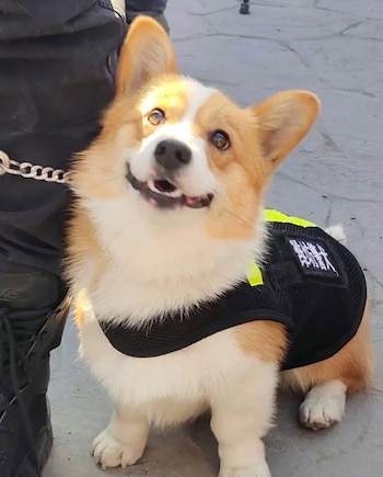 En un abrir y cerrar