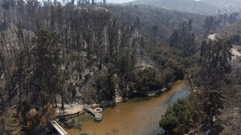 La intencionalidad de los incendios