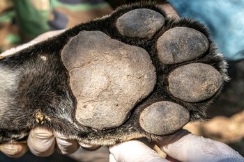 Imagen ABXXRXDFJZGDZMHHP5KA6EQ2RA