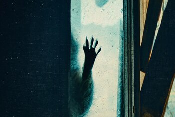 Una imagen promocional de 'Naturaleza