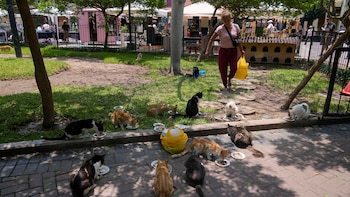 “No es un paraíso”: Más