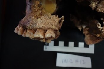 Imagen AC5JQY26QNHAJPWBAZCODIPDEM