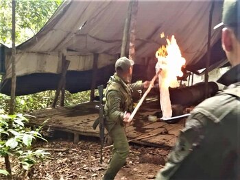 Campamento con laboratorios de droga