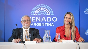 Senado: dudas por el ascenso de grado de un militar en una comisión que La Libertad Avanza confeccionó a gusto