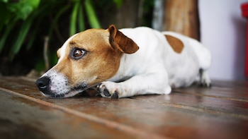 Tres señales de que tu