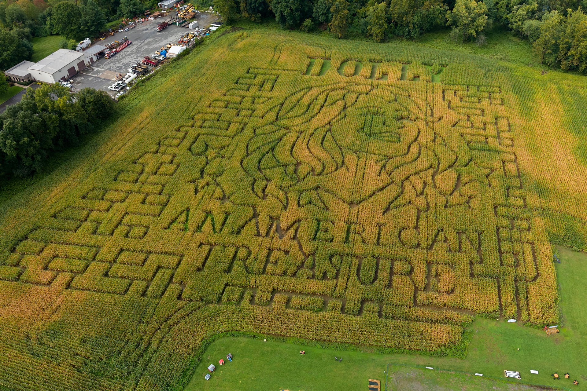 Un retrato de Dolly Parton ocupa un laberinto de maíz de 5 acres en Twins BBQ Co. en Brookfield, Connecticut (AP Photo/Ted Shaffrey).
