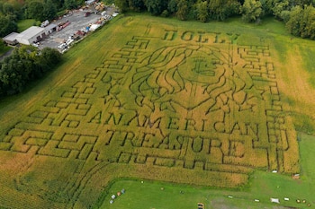 Un retrato de Dolly Parton ocupa un laberinto de maíz de 5 acres en Twins BBQ Co. en Brookfield, Connecticut (AP Photo/Ted Shaffrey).