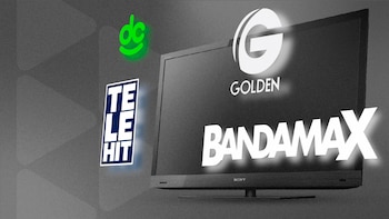 La empresa de telecomunicaciones agregó a su catálogo 97 canales más. Crédito: Totalplay.