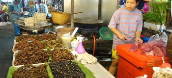 Un estudio identificó que el