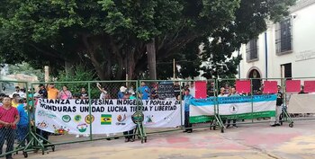 Campesinos protestaron en los bajos del Congreso Nacional. (FOTO: Proceso HN)