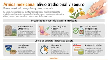 Infografía sobre árnica mexicana, propiedades, usos y preparación de pomada casera. Ilustración de mano aplicando ungüento en brazo contuso. Flores de árnica. Vaselina y hojas.