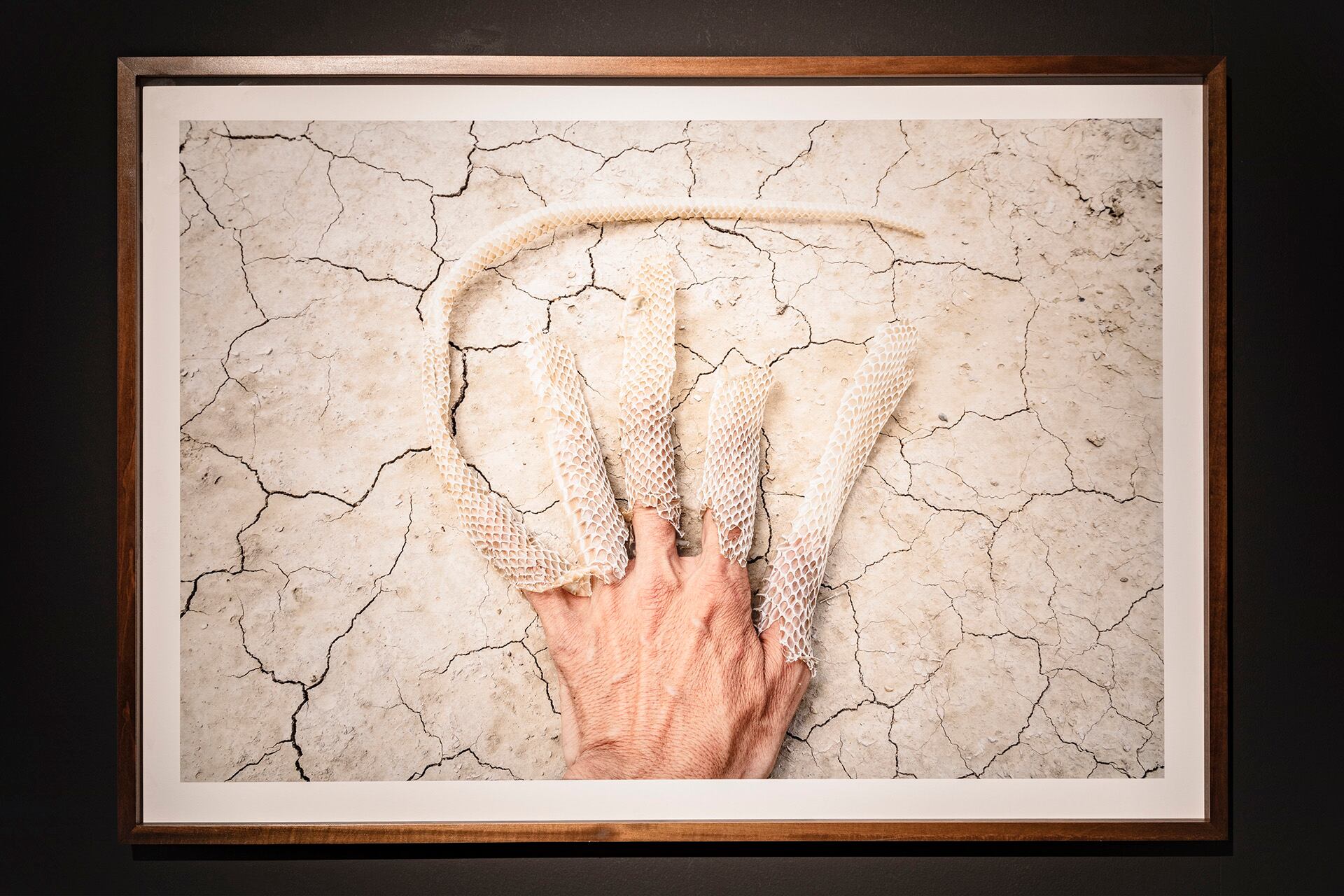 Muda, del mexicano Calixto Ramírez