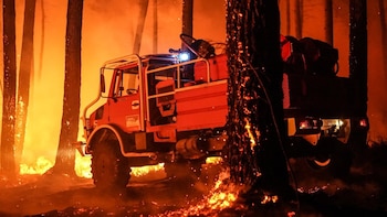 Los incendios en Francia dejan ya más de 200.000 evacuados tras calcinar un récord de 98.000 hectáreas