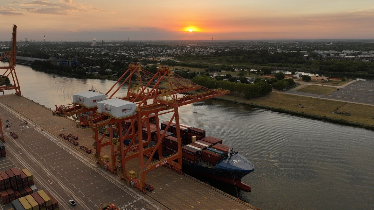exportación