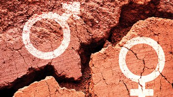 Día Internacional de la Igualdad