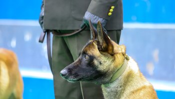 Francia donó a Ecuador cuatro