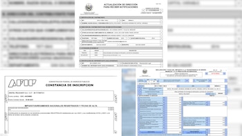 Caso $LIBRA: aparecieron tres documentos en el celular de Novelli vinculados a la estafa de CoinX