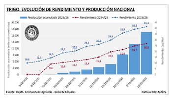 La evolución del rendimiento y