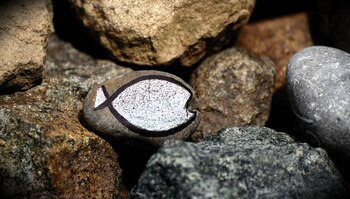 Símobolo del ichthys dibujado en