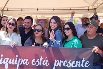 Andrea_Chavez_Chihuahua_03