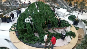 Trabajadores estaban colocando el árbol