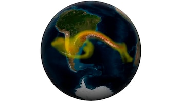 El verdor de los bosques revela pistas ocultas sobre las erupciones volcánicas
