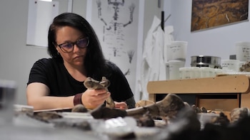 El hallazgo de Epiaceratherium itjilik