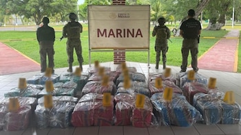 Marina asegura 259 millones de pesos en cocaína dentro de un buque mercante en el puerto de Lázaro Cárdenas, Michoacán
