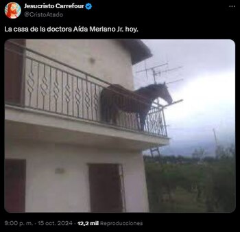 Las reacciones del regalo que