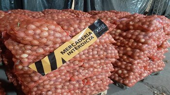 Incautaron 103 toneladas de cebollas