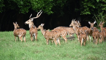 Estos son los narcovenados de