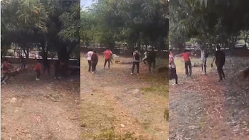 Con palos y piedras, estudiantes golpearon a un presunto ladrón que habría entrado a robar a un colegio en Valledupar