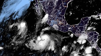 En la parte inferior de