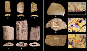 Múltiples artefactos arqueológicos de color beige-marrón sobre fondo negro, mostrando fragmentos de hueso o cerámica con marcas y texturas, y ampliaciones de pigmentos en algunos
