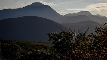 Hallan sin vida a tres