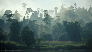 Algunas naciones del sudeste asiático