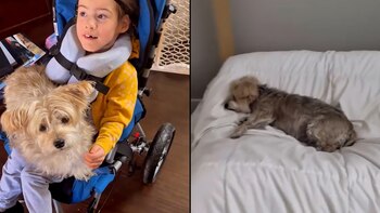 La duración del duelo, al