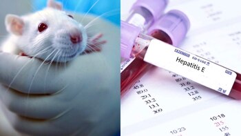 Preocupación en Hong Kong por