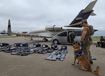 En un aeropuerto, un agente con un perro K-9 y paquetes de droga en el suelo frente a un jet privado con matrícula N1161L y una furgoneta gris