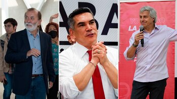 Epigmenio Ibarra se lanzó contra