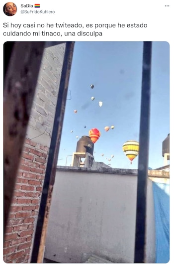 (Captura Twitter: @SuFridoKuhlero)