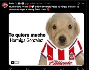 memes hormiga gonzalez -México- 22 agosto