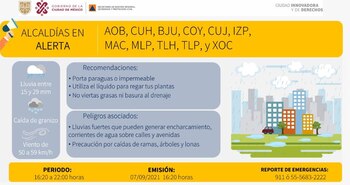 Durante la tarde de este