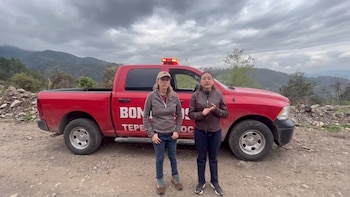 Tigre de Bengala que escapó en Tepetlaoxtoc ya fue capturado y resguardado por las autoridades