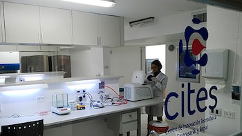 Sancor Seguros invertirá USD 200